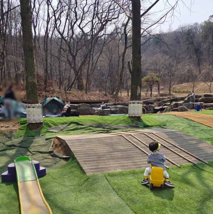 용인 동천자연식물원 주차 텐트존 음식 정보 총정리! 서울근교숲놀이터 추천