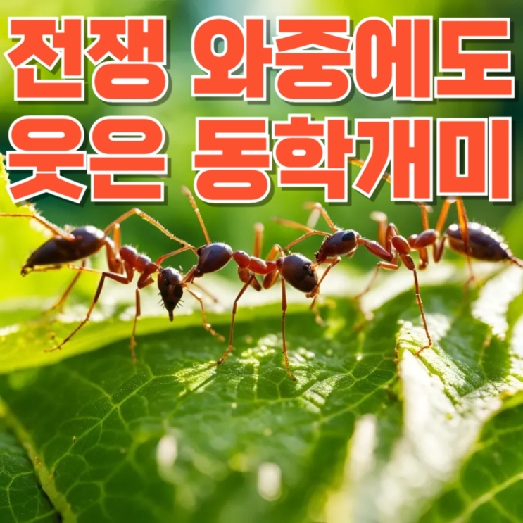  “개미들 다 죽는다더니?”…전쟁 와중에도 웃은 동학개미들, 그런데 불안한 이유