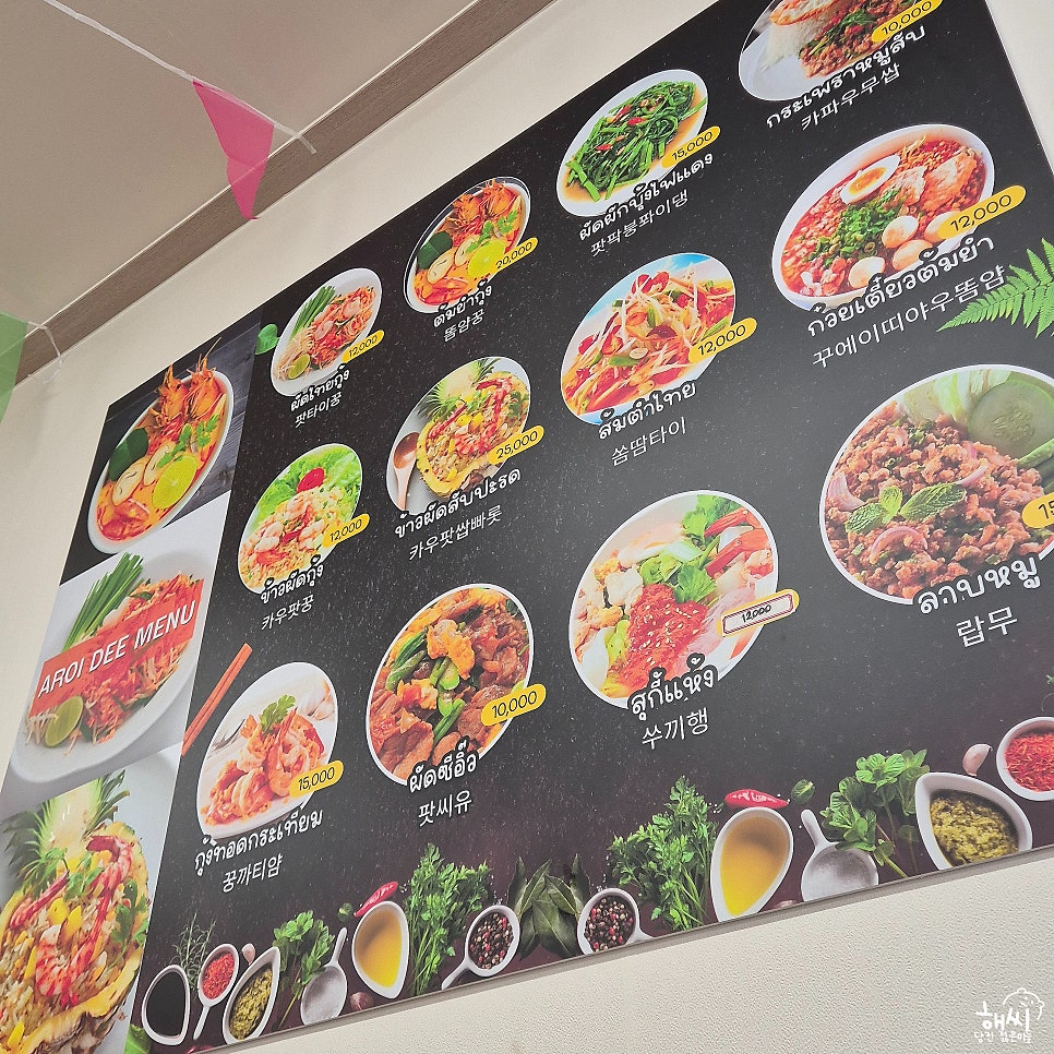 아로이디 사진 6