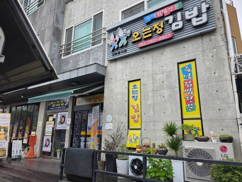제주 오는정김밥 전화 예약 방법 주차ㅣ평일 웨이팅 시간 꿀팁