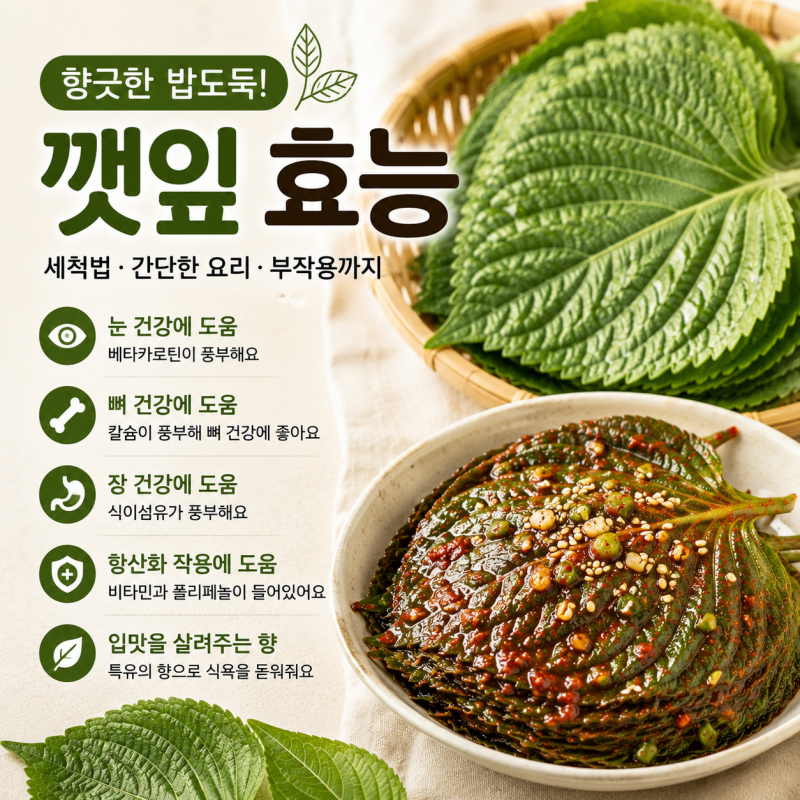 깻잎 효능 부작용 간단한 요리