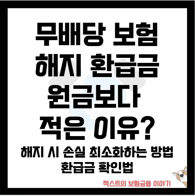 무배당 보험 해지 환급금 원금보다 적은 이유? - 해지 시 손실 최소화하는 방법과 환급금 확....