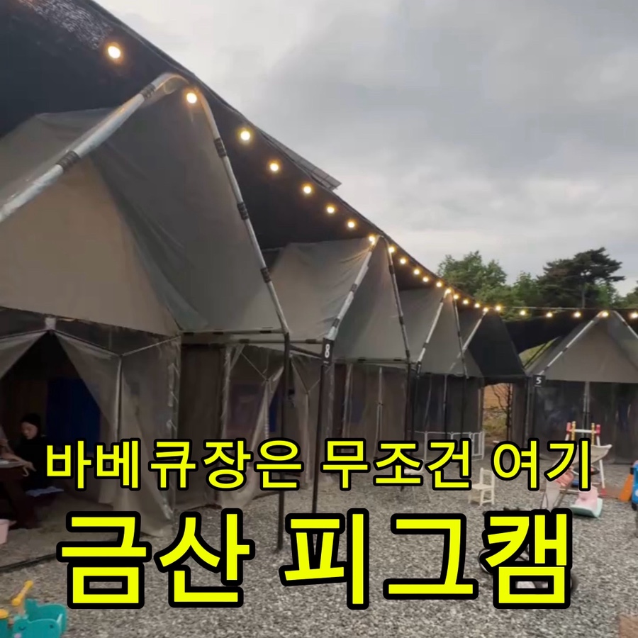 피그캠 사진 1