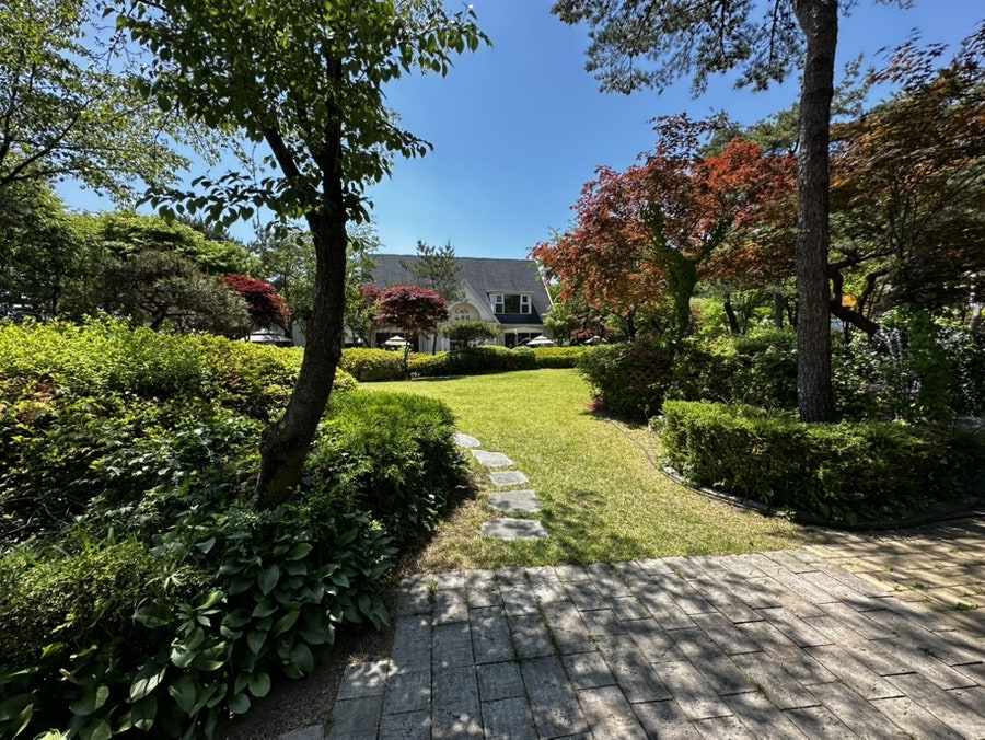 고려원 사진 5