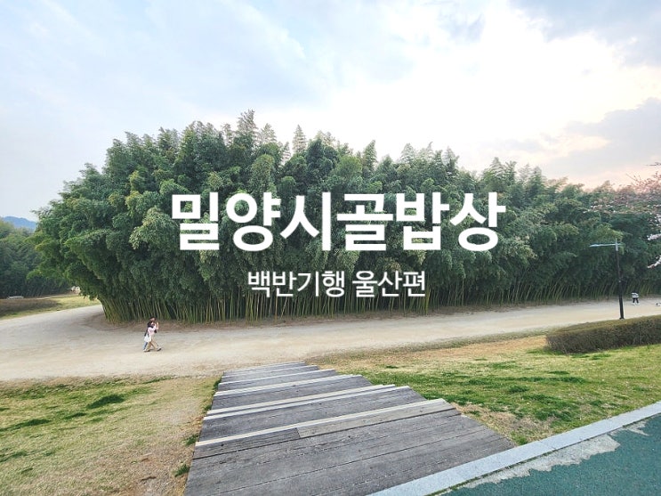 울산 태화강 맛집 허영만 백반기행 밀양시골밥상