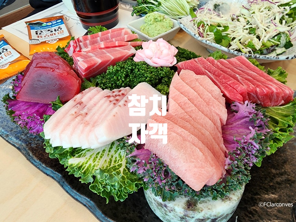 참치자객 사진 1