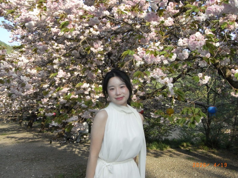 리코R10 빈티지디카 겹벚꽃 작례 RicohR10 뽀용한 쿨톤디카