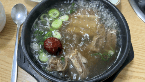 경남 하동 옥종 갈비탕 맛집 추천 아이랑 가기 좋은 내고향왕갈비 후기 / 해뜰목장 코스 추천