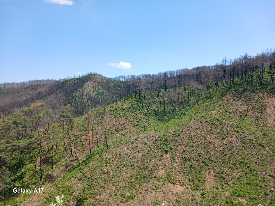 보광산 사진 1
