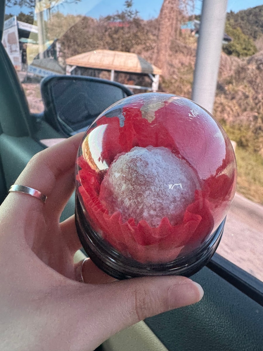 장호진논산찰고구마빵 사진 5