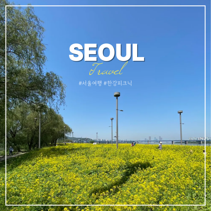  한강 반포 서래섬 피크닉 돗자리 배달 후기 유채꽃 축제