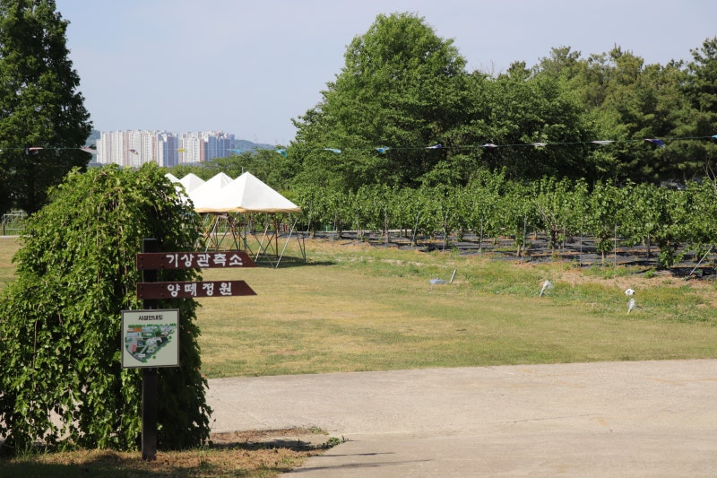 청주 가볼만한 곳 Ι 한국잠사플레이팜 한국잠사박물관 아이데리고 놀기 좋은곳