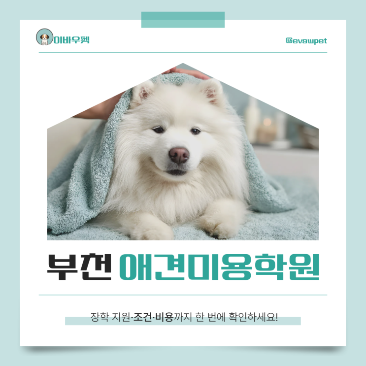  부천애견미용학원 추천, 등록 전에 꼭 비교해야 할 5가지