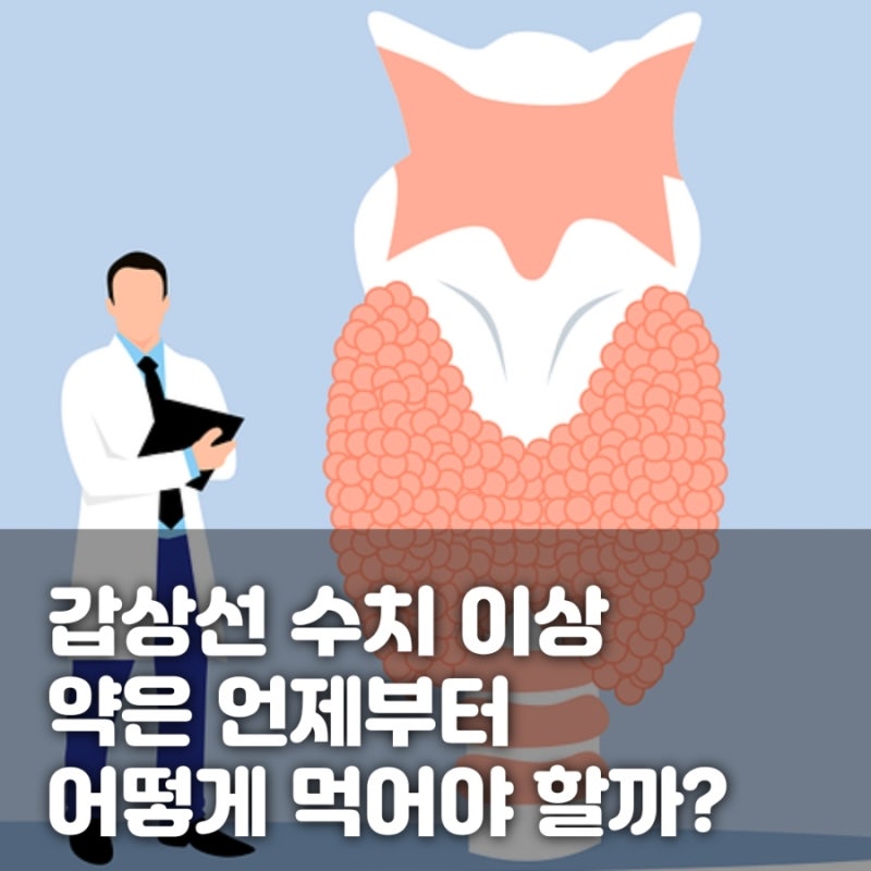 갑상선 수치 이상, 약은 언제부터 어떻게 먹어야 할까? 놓치면 손해인 핵심 정리