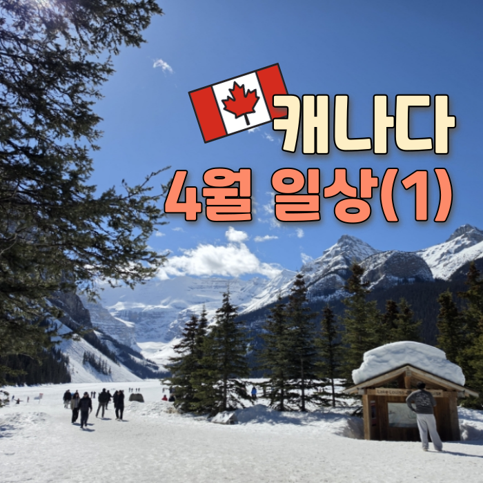   April(1) | 겨울이었다가 봄이었다가 밴프 4월 일상 with 프리티 캐나다