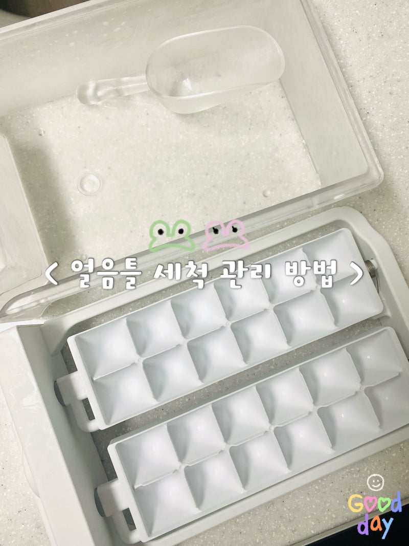 얼음틀 세척 아이스 트레이 관리 방법