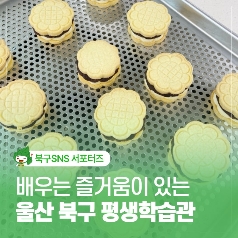 울산 북구 평생학습관 구움과자클래스 후기