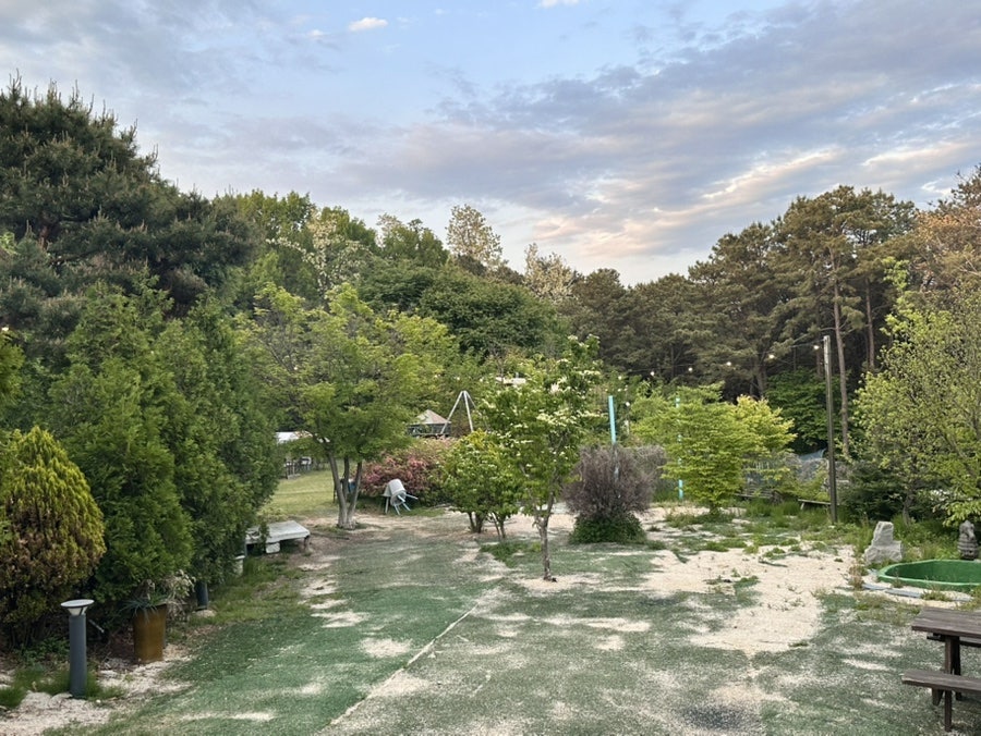 상추네닭볶음탕 사진 3