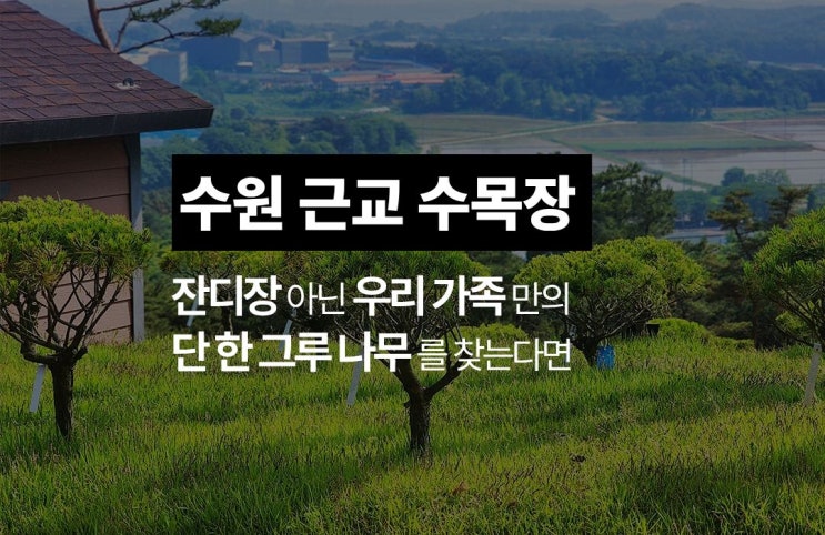  수원 근교에서 찾는 수목장, 연화장에 잔디장을 원치 않는다면