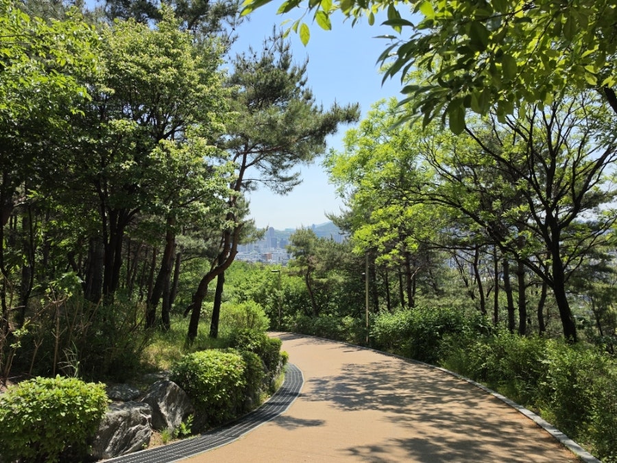 도넛정수 창신점 사진 2