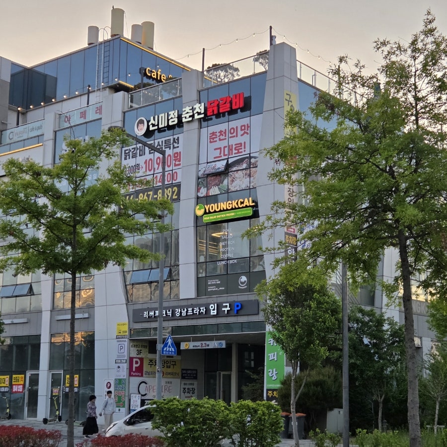 신미정춘천닭갈비 본점 사진 2