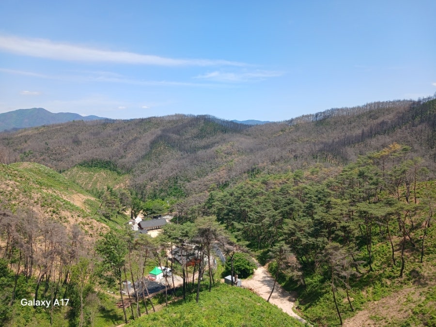 보광산 사진 4