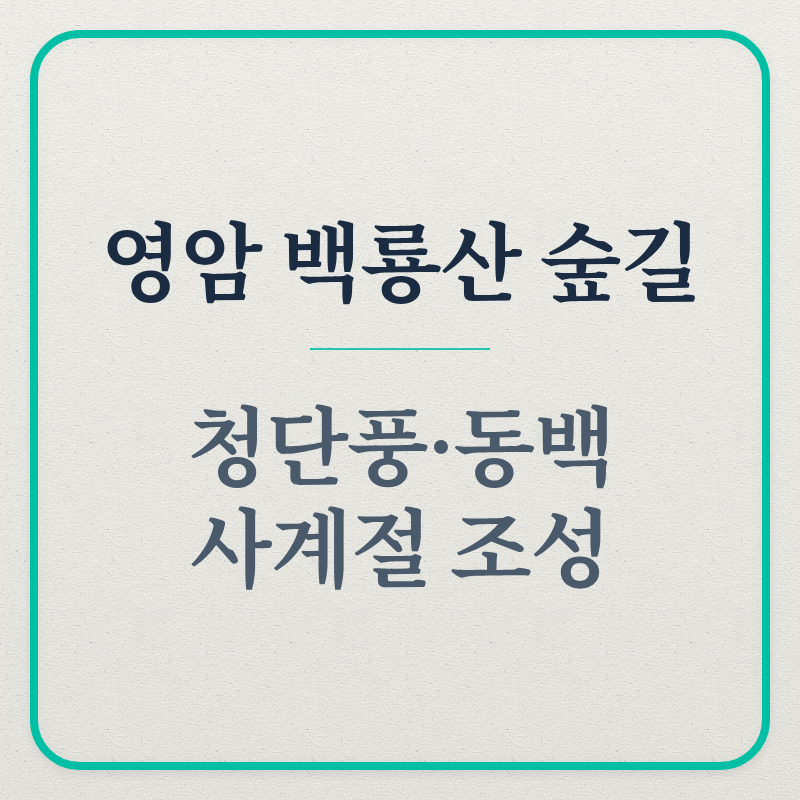 백룡산 사진 2