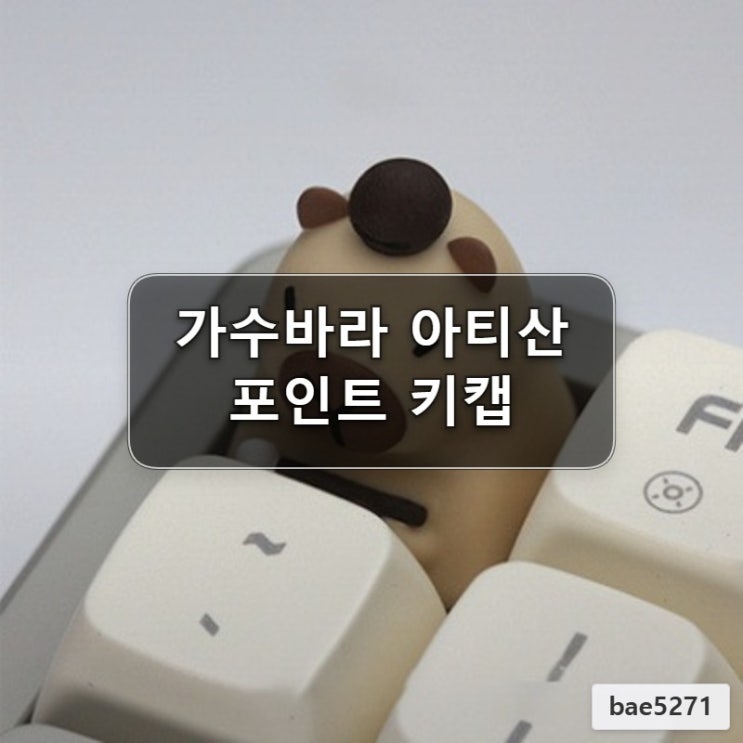  가수바라 아티산 포인트키캡 디자인 비교 후기