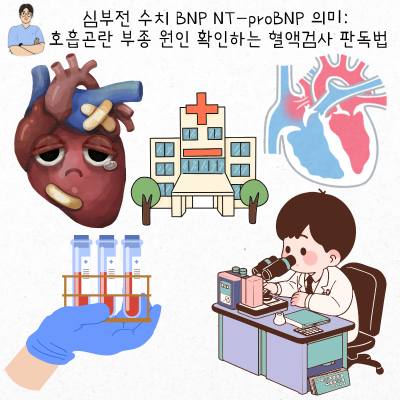 심부전 수치 BNP NT-proBNP 의미: 호흡곤란 부종 원인 확인하는 혈액검사 판독법