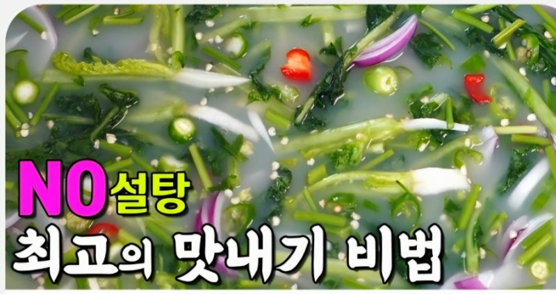 열무물김치 담그는 법, 보리밥 풀국으로 국물까지 시원한 황금레시피