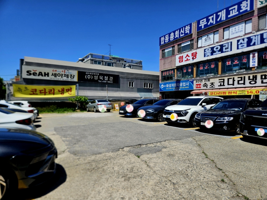속초코다리냉면 사진 2
