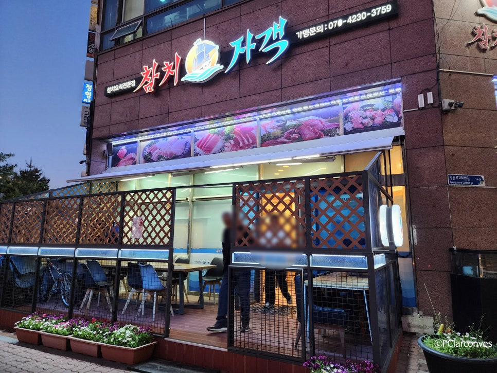 참치자객 사진 2