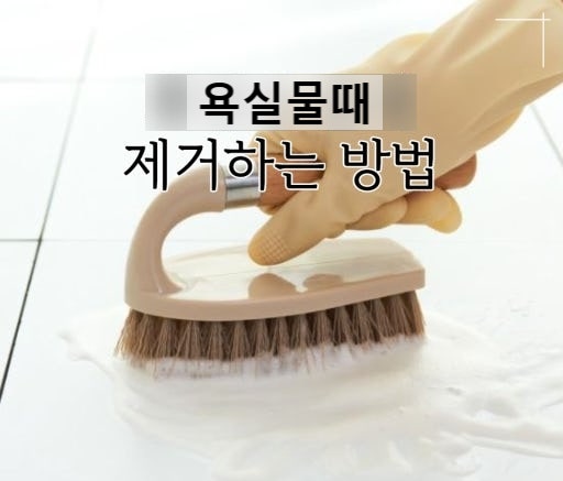 욕실물때 제거방법 화장실거울 얼룩 지우기