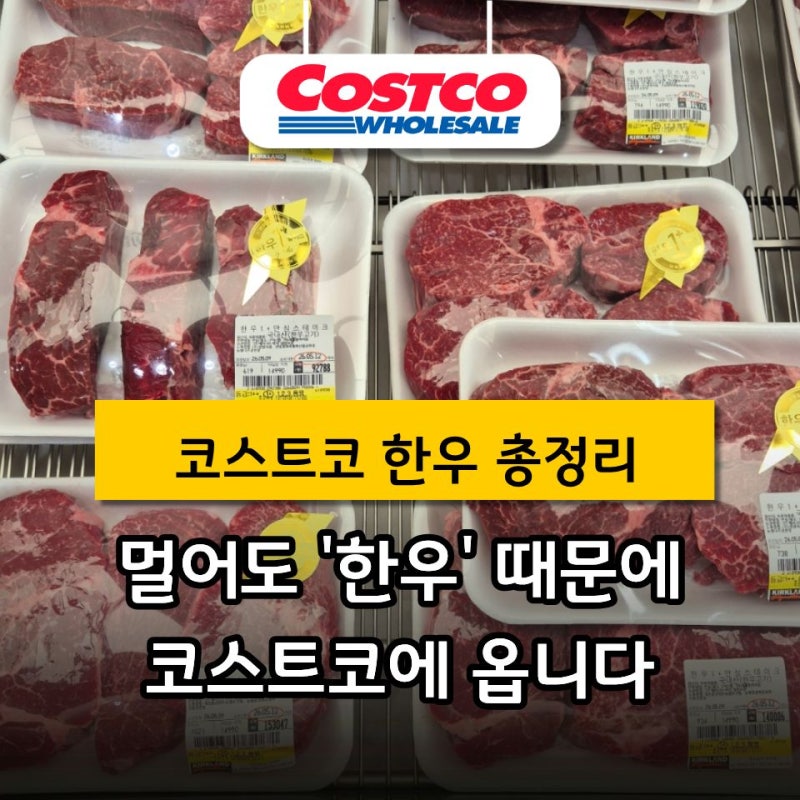 코스트코 한우는 못 참지... 아이 반찬부터 집들이까지 “부위별로” 싹 정리했어요