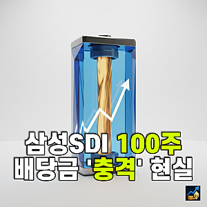 [데이터 분석] 삼성SDI 100주 보유하면 배당금 얼마? : 삼성SDI 주가