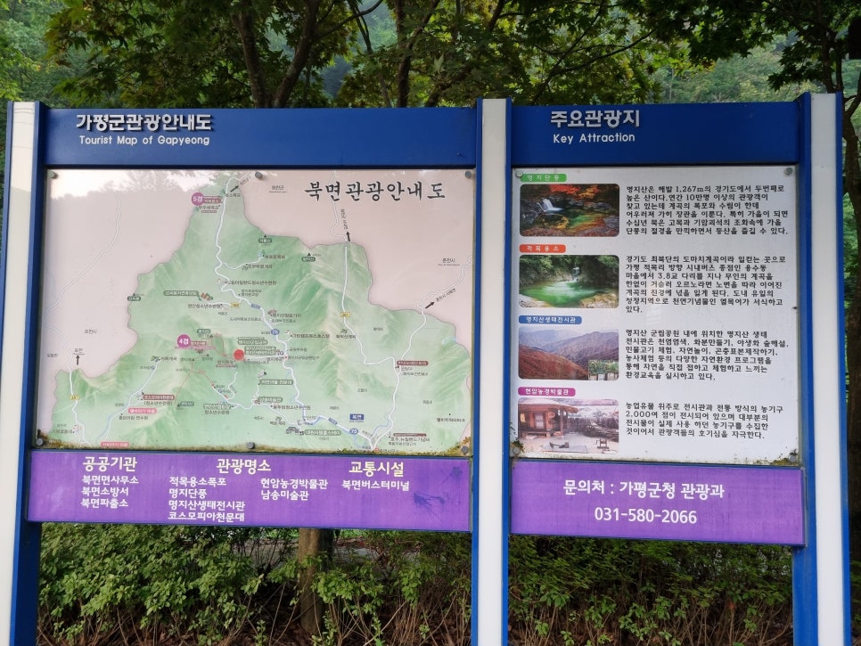 금자네식당 사진 4