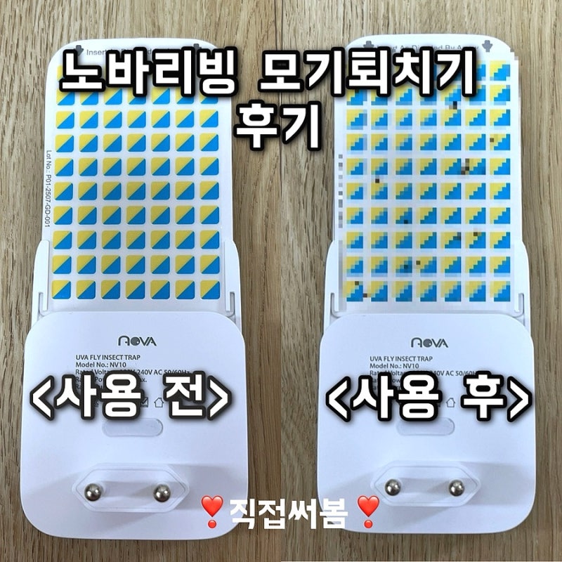 노바리빙 NV10 모기퇴치기 효과 있나? 초파리까지 잡히는지 실사용 후기