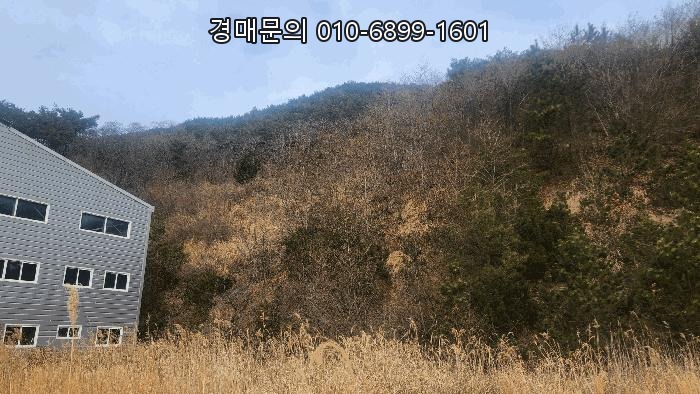  I have generated the blog post for the Korean court auction based on the provided data and all the s