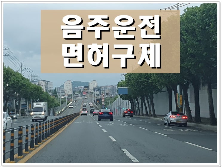  음주운전 임시면허증 발급 40일 기간 구제의 골든타임