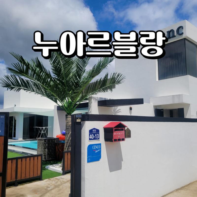 경주 독채펜션 대가족 여행 누아르블랑 독채풀빌라