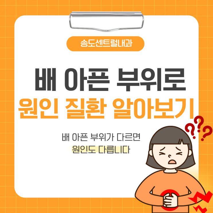  복통 부위로 보는 원인 질환 지도