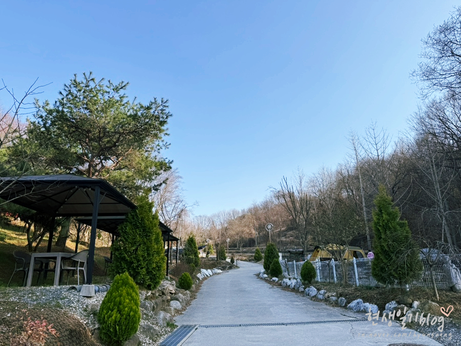 금산만악리수목원 오토캠핑장 사진 6