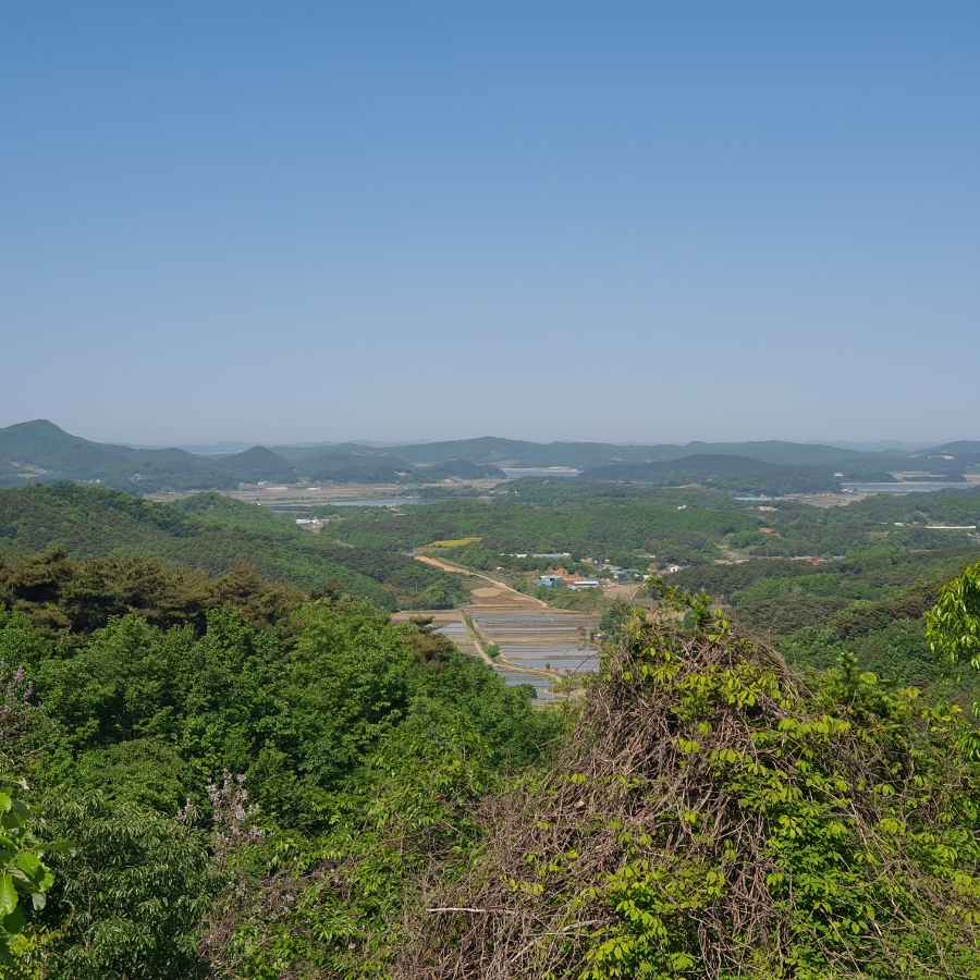 오서산억새촌식당 사진 5