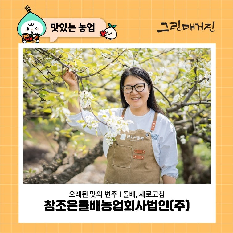 오래된 맛의 변주 | 돌배, 새로고침