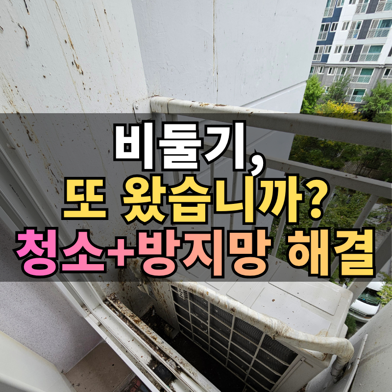 대구 비둘기 퇴치업체, 퇴치방법: 똥청소-소독-고급 망설치 까지