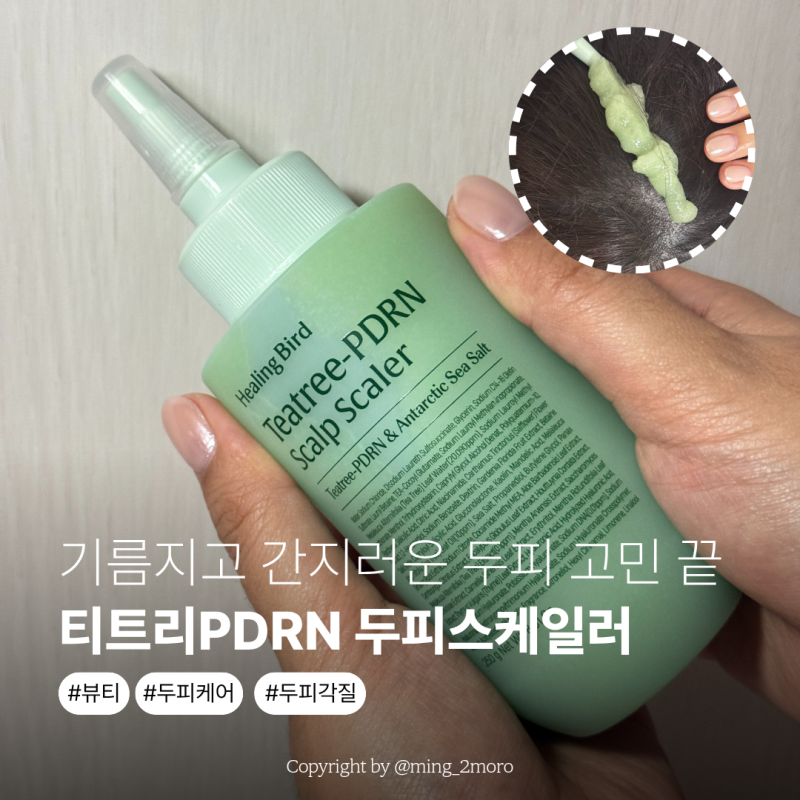 기름지고 간지러운 두피 고민 끝! 인씨x힐링버드 티트리PDRN 두피스케일러 사용후기