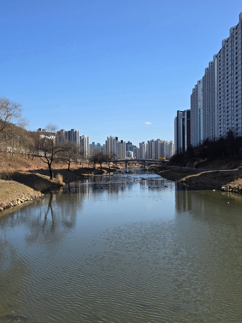 안양 비봉산 망해암