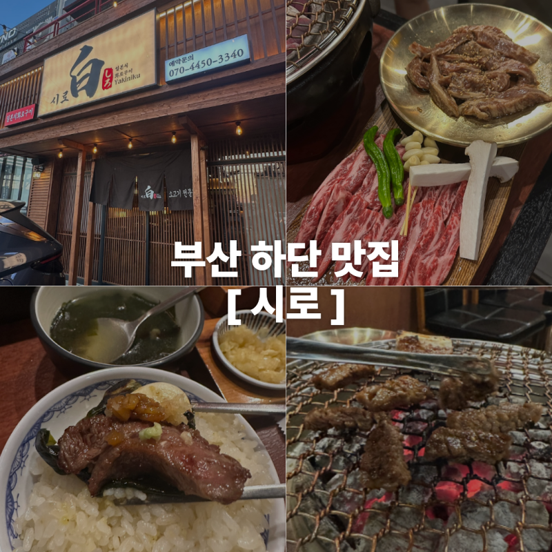 부산 하단 맛집 시로 일본식 화로구이 소고기 맛집