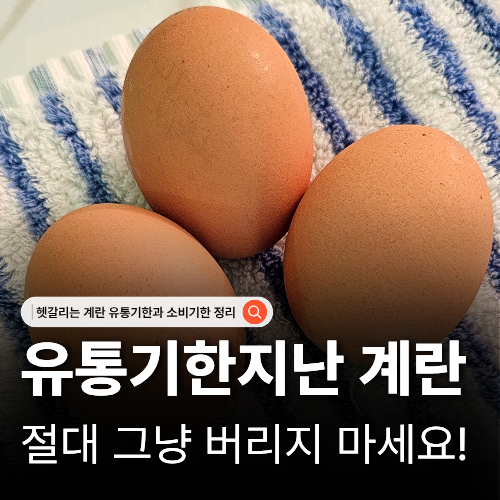  유통기한 지난 계란 먹어도 될까? 소비기한 확인법