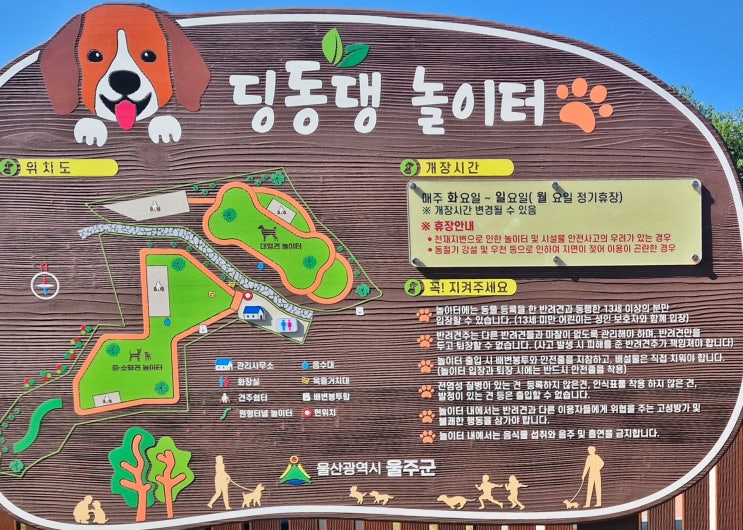  울산 울주군 간절곶 오션뷰 강아지 놀이터! 천연잔디~ 딩동댕 강아지놀이터 (주차장도 무료)  대만족 후기